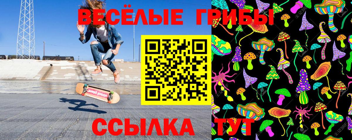 Псилоцибиновые грибы GOLDEN TEACHER  Вход с VPN  где продают   Миасс  Псилоцибиновые грибы ЛСД 