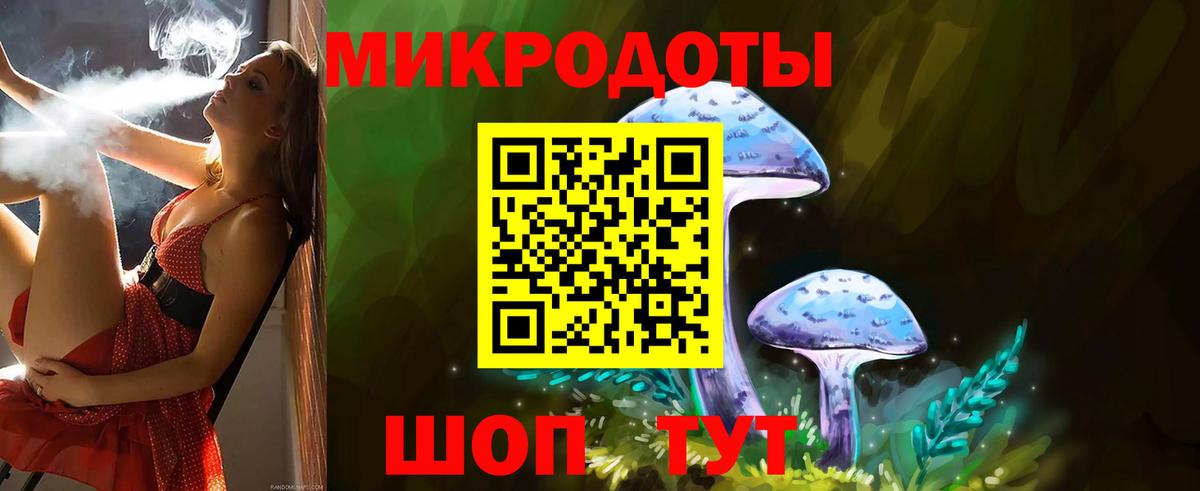 Псилоцибиновые грибы Psilocybe Миасс